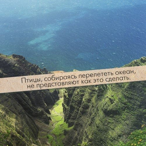 А.н. Концепт