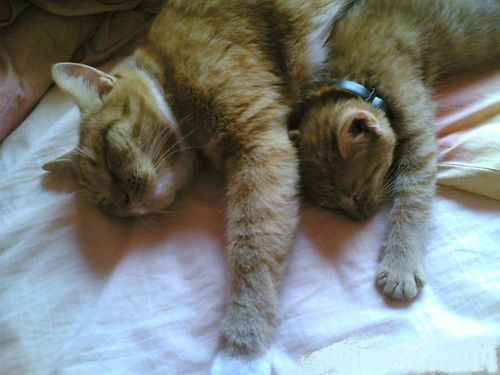 Катерина Парамонова