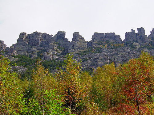 Алексей Варков