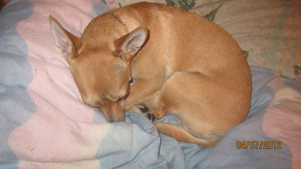 Александра Соколова