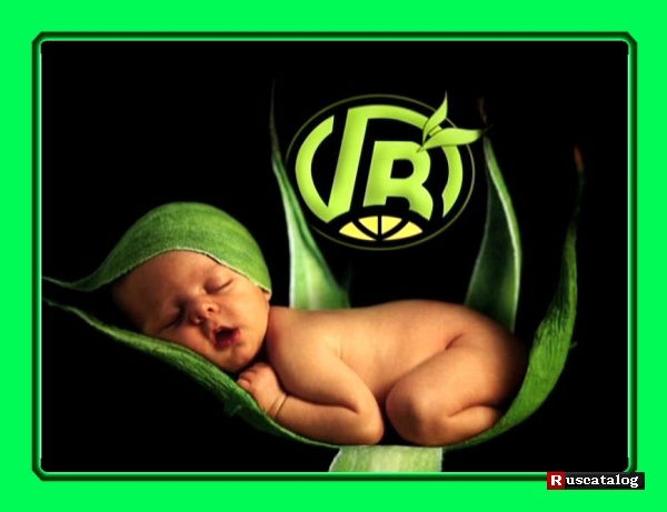 Cветлана Приходько