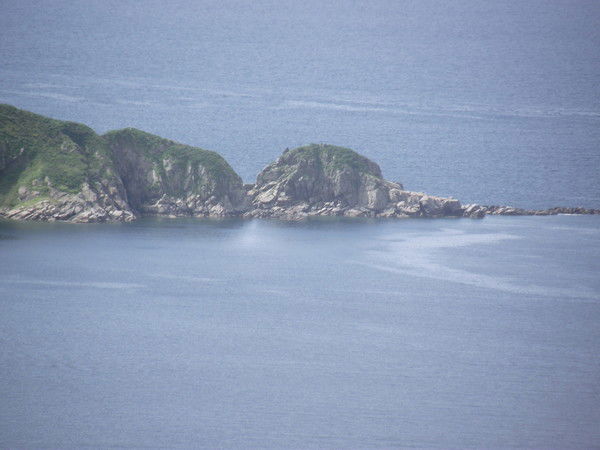 Игорь Шульга