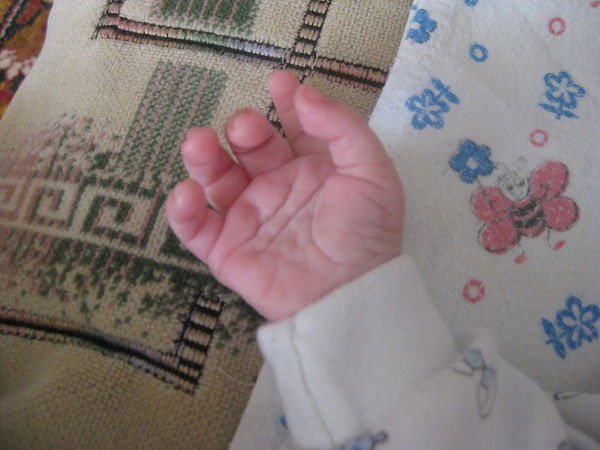 Айна Мамедова