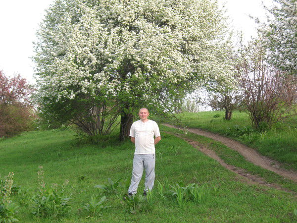 Dmitrii Kоlеsnikov