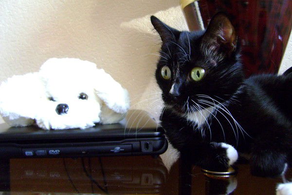 Наталья Легащева