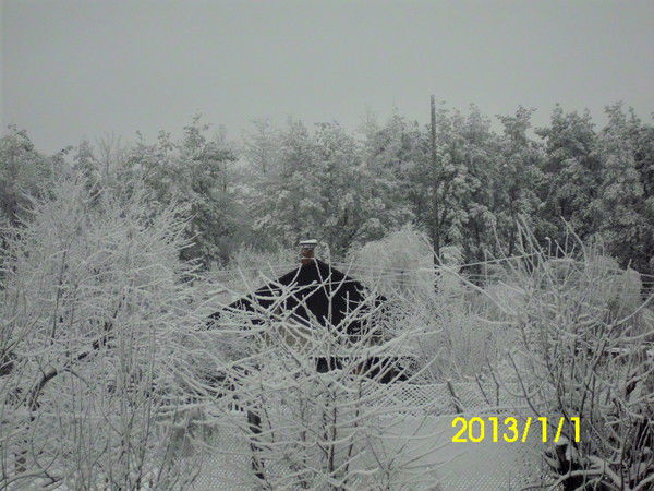 Фируза Гусейнова