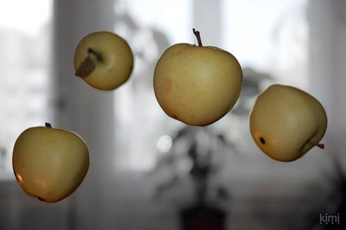 Юлия Дидковская