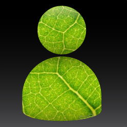 Павел Мазейко