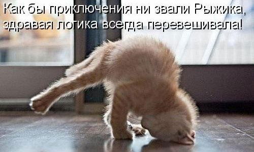 Екатерина Рыжик