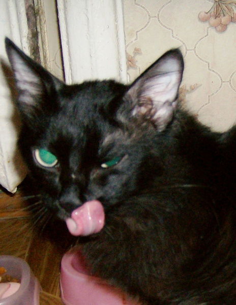 Олег Скорик