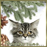 Людмила Михайленко