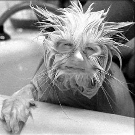 Дилара Латыпова