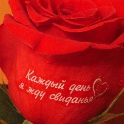 Ника Копытова