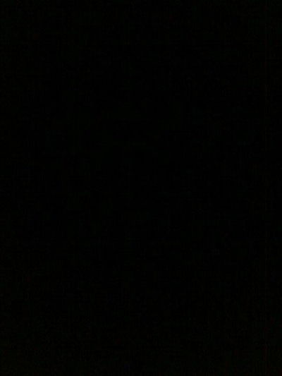 Лёля Максимова