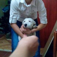 Илья Афанасьев