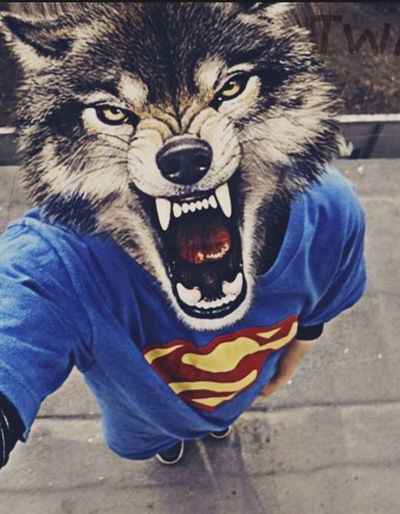 Никита Митин