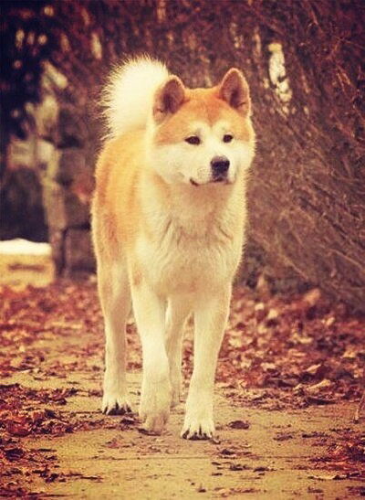 Марина Часнык