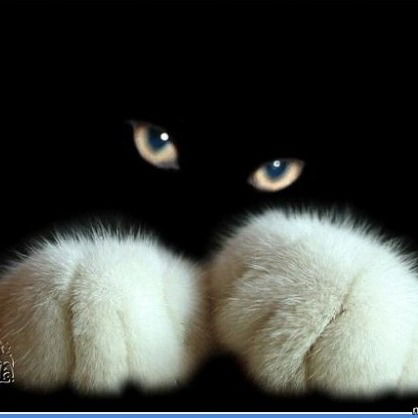 Светлана Иванова