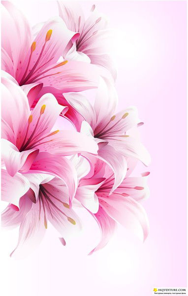 Эльмира Ахметова