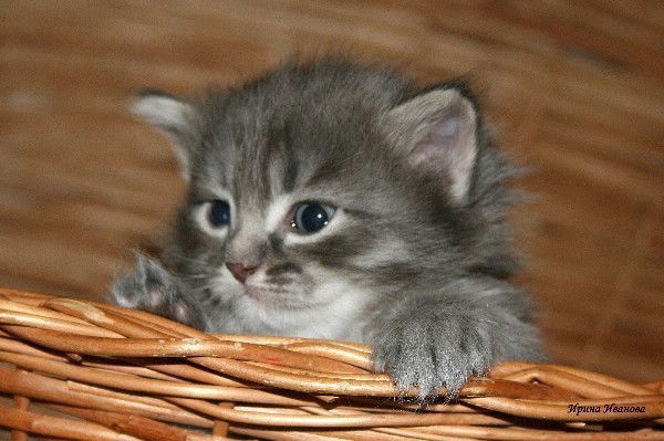 Алино4Ка Зайка;)