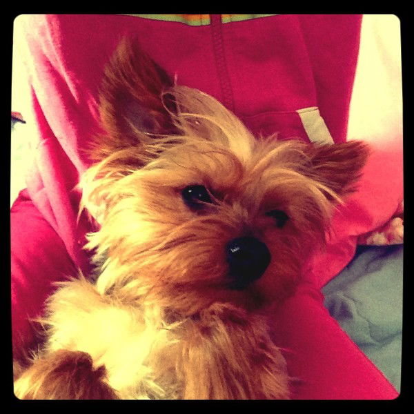 Ольга Герасимова