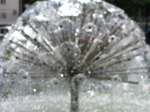 Александр Терехин