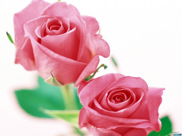 Люба Мадиева