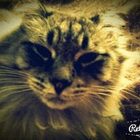 Александра Величко