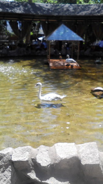 Гульмира Искакова