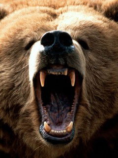 Роман Иванов