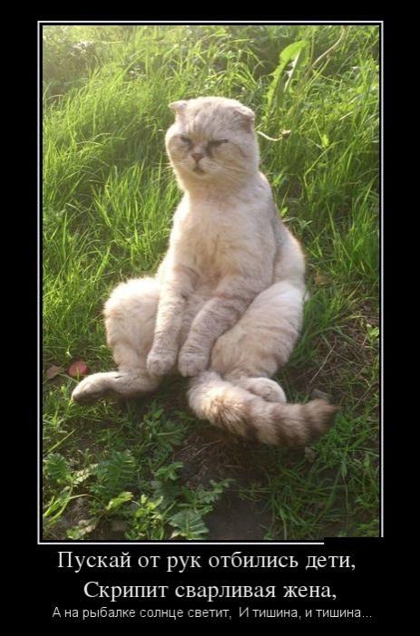 Дмитрий Шепелев