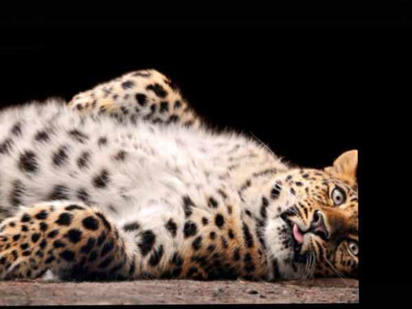 Екатерина Новикова