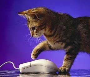 Наталья Синякова