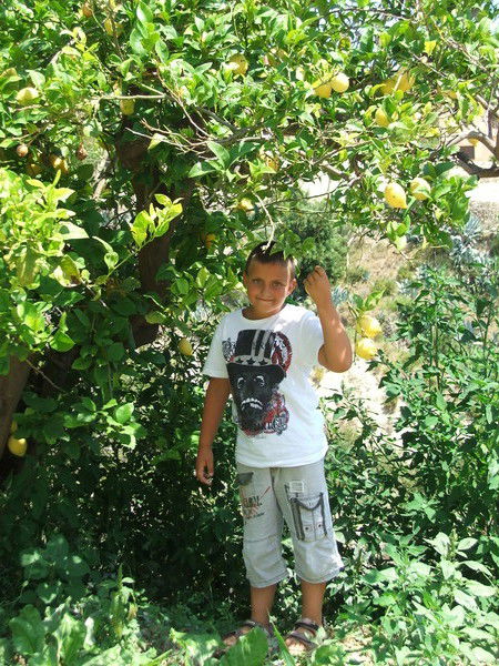 Дмитрий Ивченко