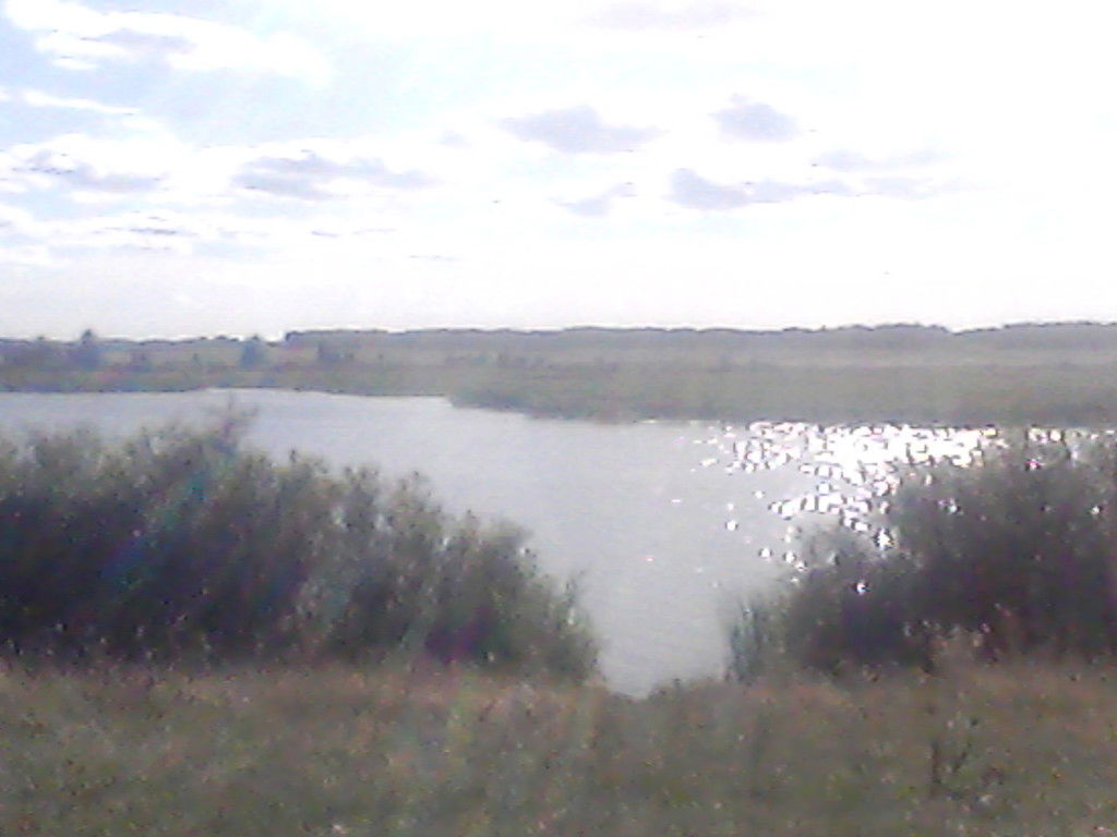 Владимир Чернов