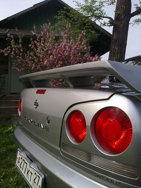 Александр Кобыленков