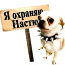 Анастасия Головко