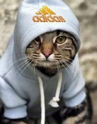 Сергей Красовский