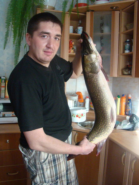 Емельянов Александр