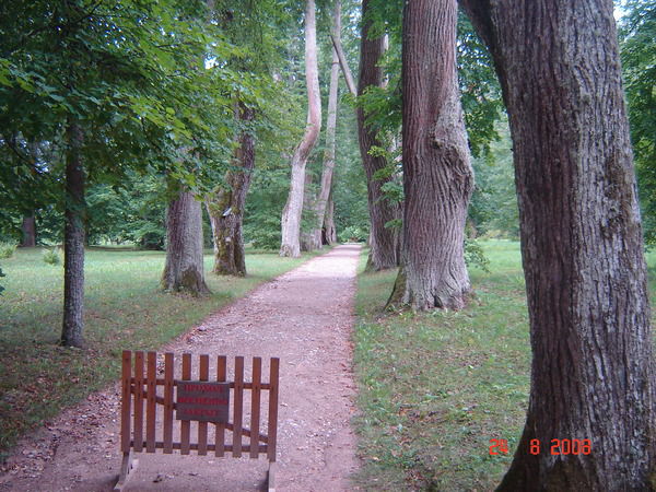 Надежда Царёва