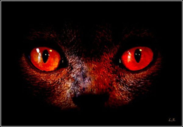 Стасик Чёрный