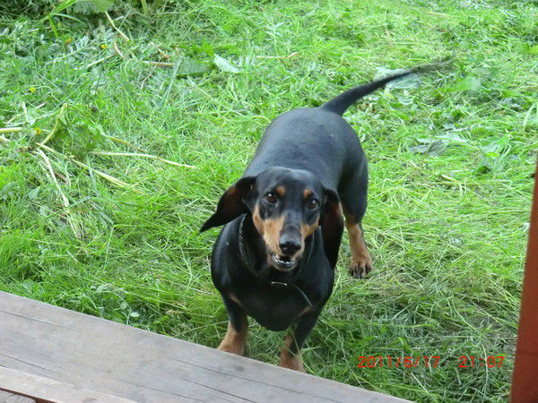 Яна Новиченко