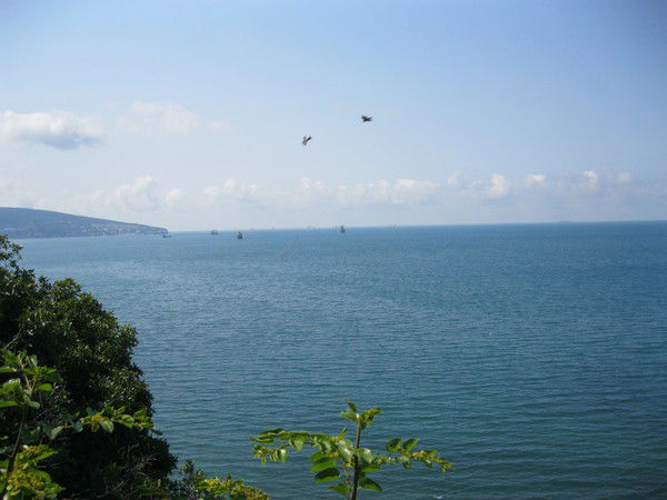 Владимир Колесников