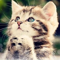 Вова Сухоногов