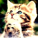 Вова Сухоногов