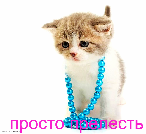 Софья Зайцева