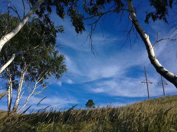 Геннадий Кузнецов