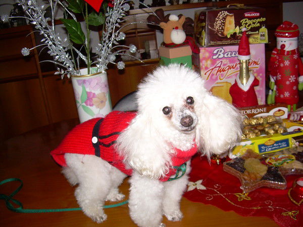 Антонина Долженко