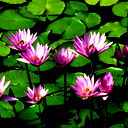 Марина Скрипник