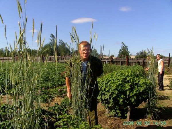 Владимир Каничев
